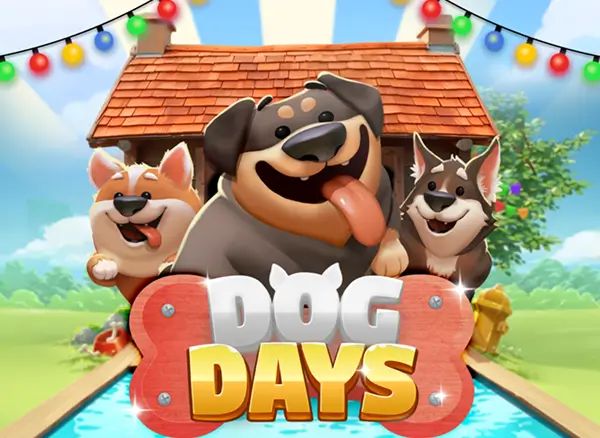TAP88 Dog Days