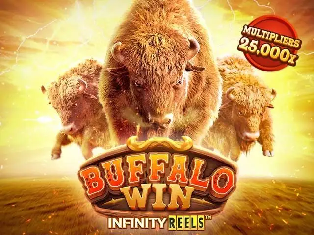 TAP88 Buffalo Win