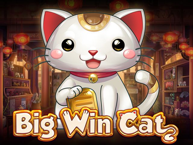 TAP88 Big Win Cat