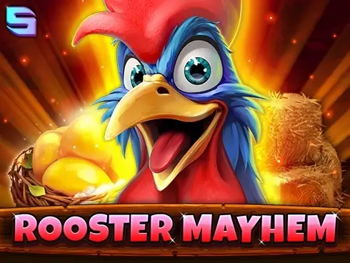 TAP88 Rooster Mayhem