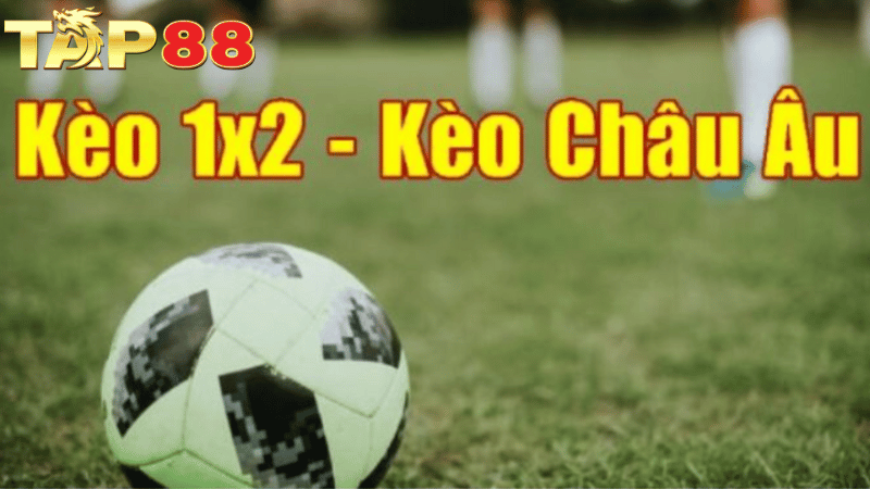 TAP88 Kèo Châu Á - Thông Tin Quan Trọng Mọi Bet Thủ Cần Nắm