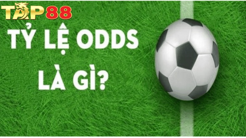 TAP88 Tỷ Lệ ODDS là gì? Thông Tin Quan Trọng Cho Bet Thủ 2025