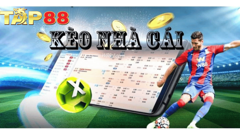TAP88 Hướng Dẫn Cách Soi Kèo Nhà Cái Cực Chuẩn Từ Chuyên Gia