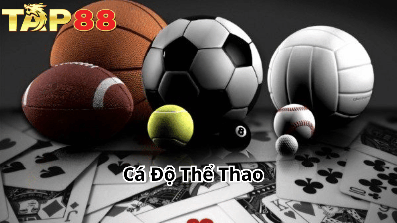 TAP88 Cá Độ Thể Thao - Thông Tin Quan Trọng Bet Thủ Cần Nắm 2025